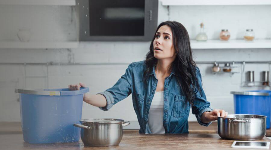 Why choose Black Mold Removal Glendale for black mold removal in Glendale